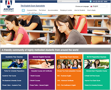 WordPress CMS